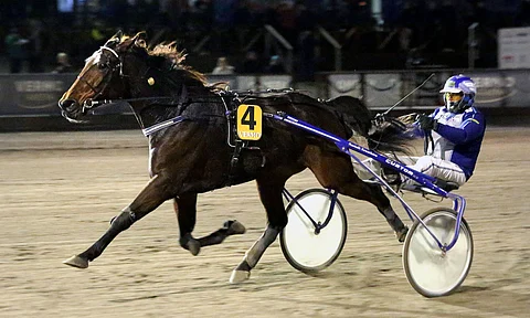 Steady And Quick toi Jarmo Saarelalle Ravilauantain kolmannen voiton.