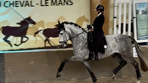 Mikaela Soratie ja Carinoso Bot III voittivat barokkihevosten EM-hopeaa