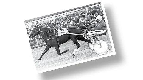 Kuva-arvoitus: Tiedä tai arvaa mikä parivaljakko?