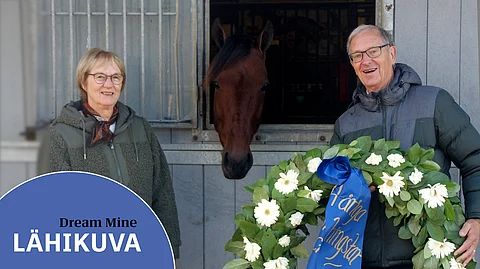 Christer ja Kristina Nordin ovat saaneet elää hevosenomistajan unelmaa yhdessä Dream Minen kanssa.