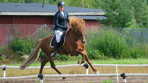 Freir fra Kaakkola ratsastajanaan Miina Sarsamo