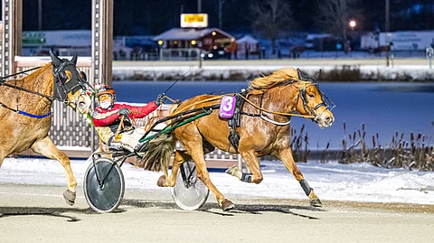 Tuomas Pakkasen ohjastama Akvarelli toi Markku ja Henna Latvalalle suurkilpailuvoiton.