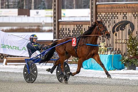Arctic Greetta vakuutti kaksivuotiaiden tammojen Kasvattajakruunussa Janne Korven ohjastamana.