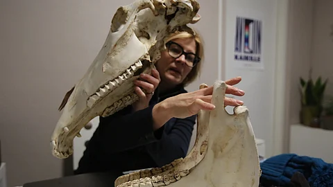 Heidi Kellokoski-Kiiskinen 