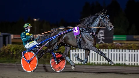 Warrior Princess oli karsintojen nopein voittaja ajalla 14,0a/2100 metriä. Kari Lehtosen tallista finaalipaikan ansaitsivat myös Kinematic sekä Quick Swamp.