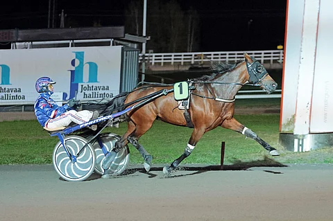 Olli Koivunen ohjastaa Hereiam D C:tä perjantaina.