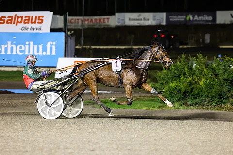 Hannu Hietasen ohjastama Rebel Heart pudotti Perfecton lopulta kyydistään.