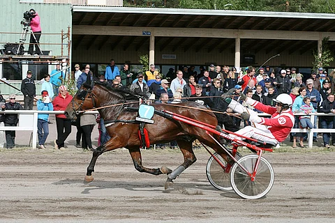 Juhannusyleisö innostaa erilaisiin tuuletuksiin, Jouni Vaittisen tyylinäyte.