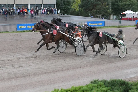 Derbypäivänä Valentin Laday ja Tommi kylliäinen ottivat matsia Pazzo Lindyn, sisällä, ja ulkopuolellaan tsempanneen Zulu Hosin kanssa.
