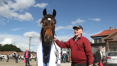 Ravit Norja