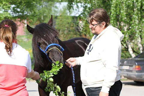 Waxen on Pekka Lillbackan kasvattama kolmevuotias kylmäveriori.