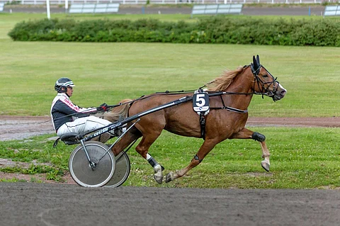 Frankker.