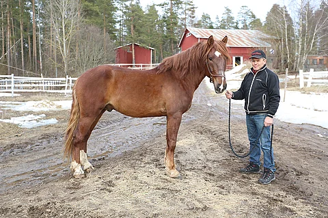 Kauden avausstartti vei Olavi Nisosen Agassia selvästi eteenpäin.