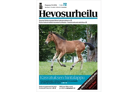 Kasvattajakysely paljastaa: 1,5-vuotiaan hintalapussa kymppitonni muita kuluja