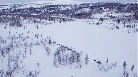 Forbunderesan vaeltaa vaaramaisemissa Ruotsista Norjan puolelle Rörosin perinnemarkkinoille. Kuva: Forbonderesan