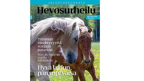 Jalostuskuvasto ilmestyy kerran vuodessa.