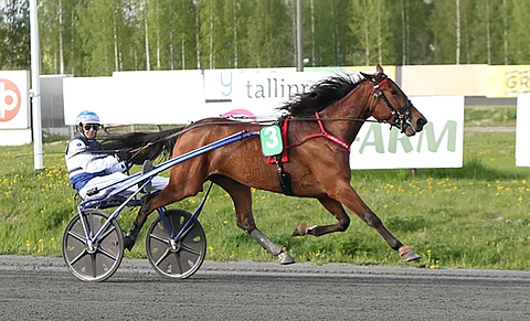 Mascate Match karisti kilpakumppanit maalisuoralla tuntumasta.