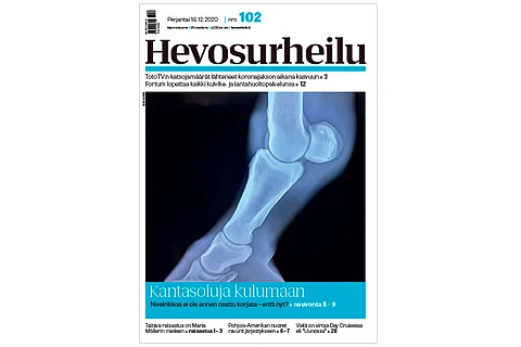 Perjantain lehdessä on asiaa nivelrikosta.